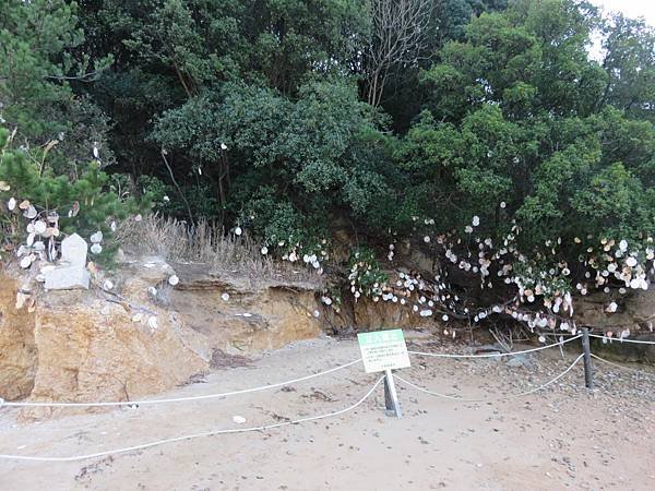 【日本露營車四國小島篇】日本過年到直島，小豆島，男木島，女木