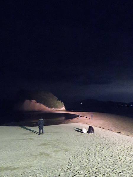 【日本露營車四國小島篇】日本過年到直島，小豆島，男木島，女木