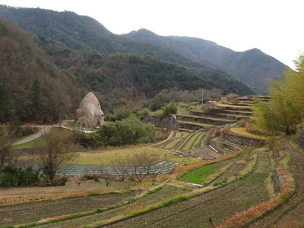 【日本露營車四國小島篇】日本過年到直島，小豆島，男木島，女木