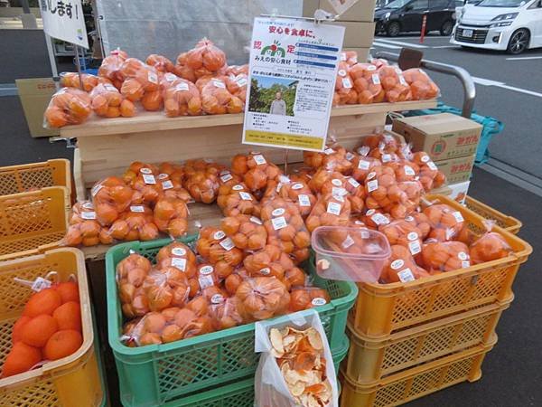 【日本露營車四國小島篇】日本過年到直島，小豆島，男木島，女木