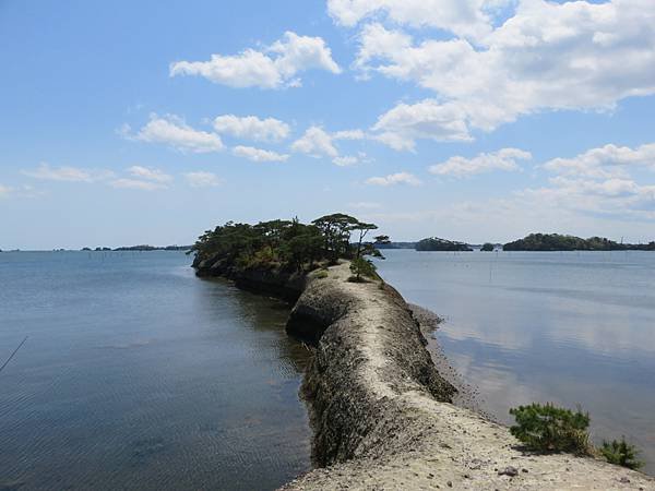 【日本露日本黃營車福島山形宮城篇】金週開露營車到松島，仙台，