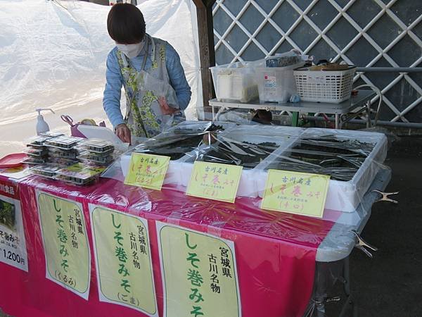 【日本露日本黃營車福島山形宮城篇】金週開露營車到松島，仙台，