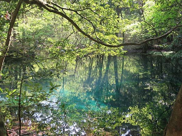 【日本露日本黃營車福島山形宮城篇】金週開露營車到松島，仙台，