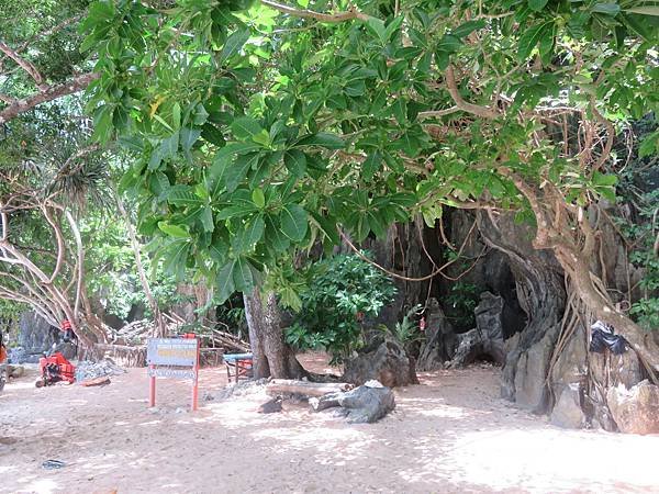 【菲律賓巴拉望】暑假出國從台北～公主港～愛尼島12天的旅遊日