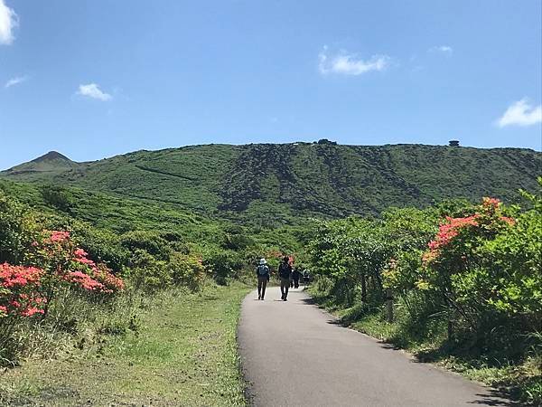 【日本露營】扛著行李到東京離島伊豆大島露營