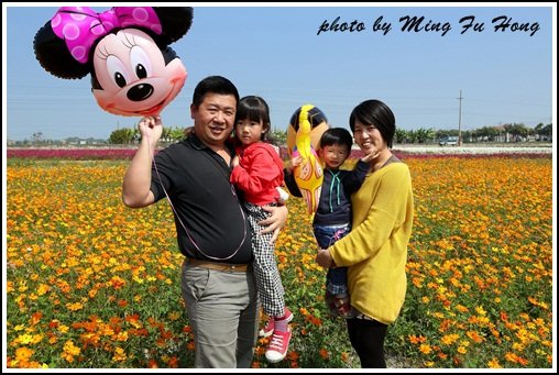 莿桐花海(34)
