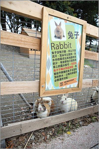 克林姆莊園 (13)