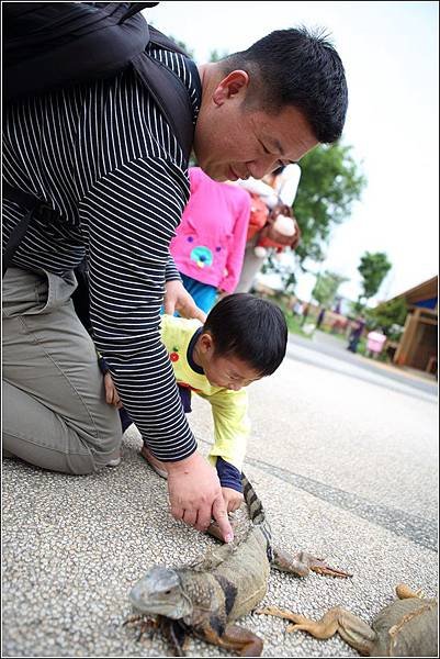 克林姆莊園 (50)