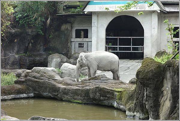 台北市動物園 (18)