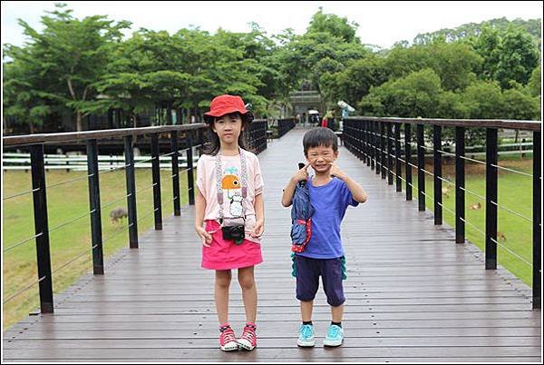 原生應用植物園 (21)
