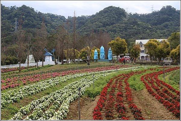 富田花園農場 (3)