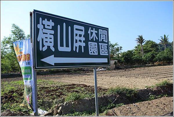 橫山屏金針花海 (2)