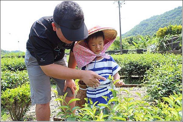 內山茶驛站 (12)