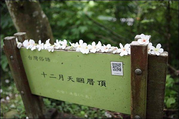 藤山步道 (4)