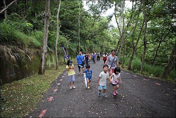 藤山步道 (5)