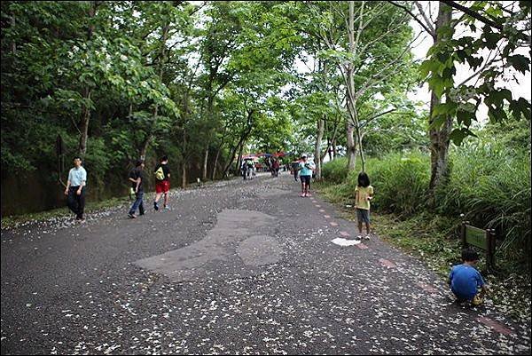 藤山步道 (8)