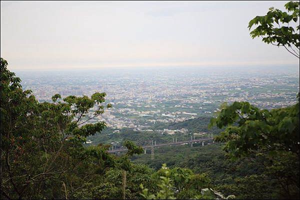 藤山步道 (21)