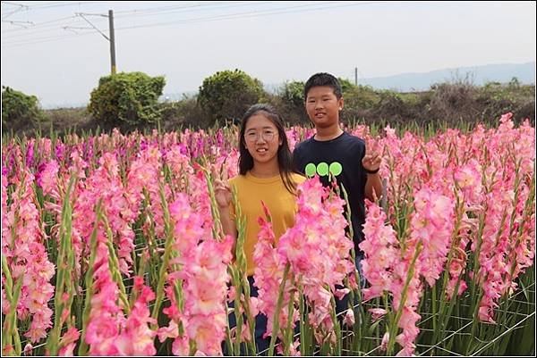 雙鐵花田 (15).jpg