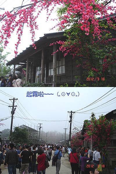 120318-霧社街-15