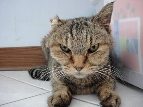 0042DSC01161.JPG