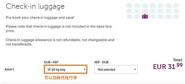 check in luggage.JPG