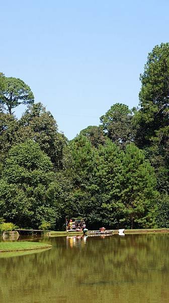 泳池邊的風景