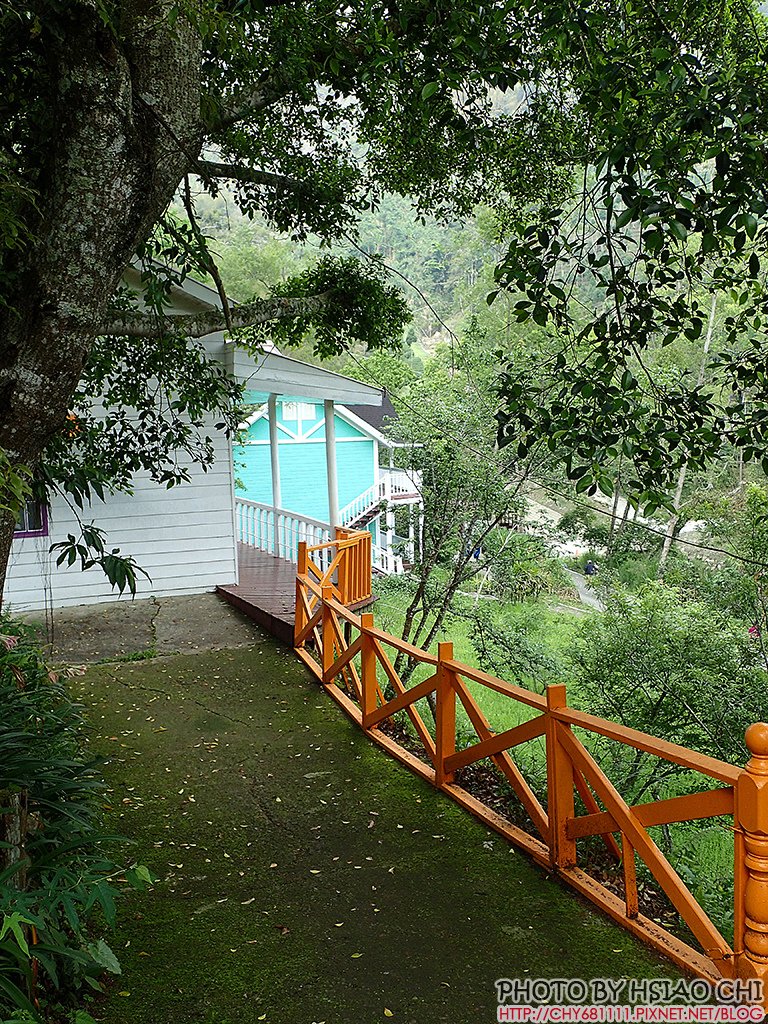 P4294129.JPG