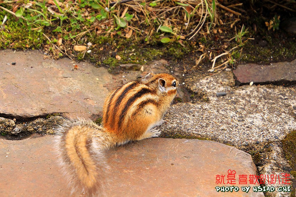 IMG_1097.JPG