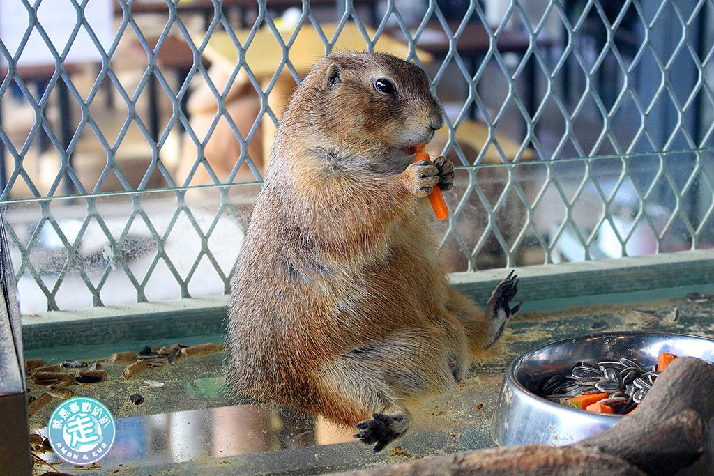 IMG_4479.JPG