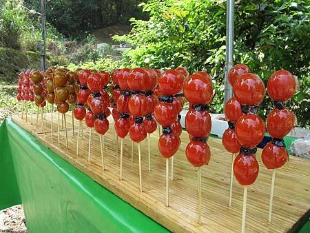 IMG_6035糖葫蘆.JPG