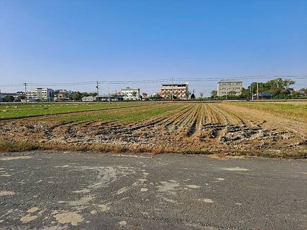 民雄中正大學正大學路農地