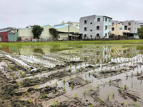 1580萬-嘉義市西區北社尾土地