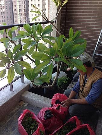 仁山雲集監工日誌58