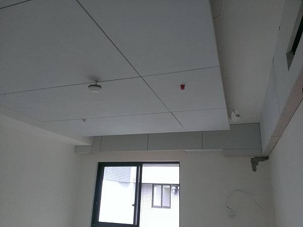 IMAG6302.jpg