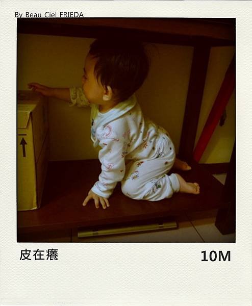 tn_P1120770-pola1.jpg