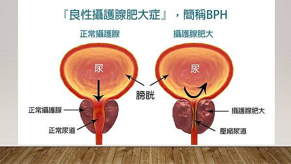 投影片2-全中文.jpg