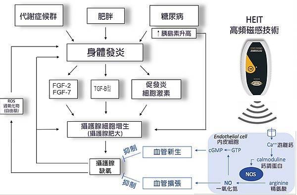 翻譯.jpg