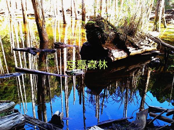 信手捻來張張精彩，難怪聲名歷久不衰