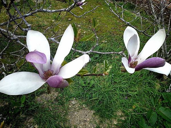 2014-03-31-19-00-59_deco-234452644.jpg