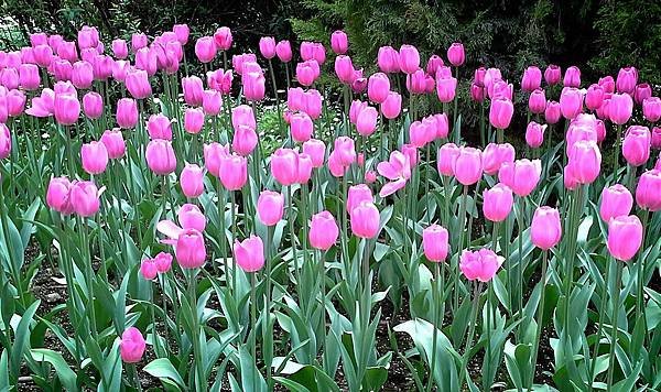 2014-04-02-23-00-39_deco-2144737697.jpg
