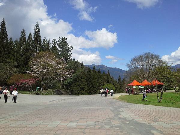 20140326_132306143429629