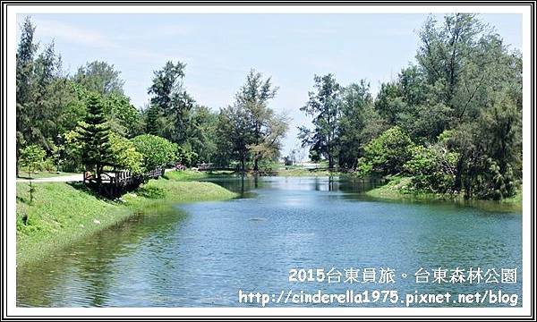 DSC07838.JPG