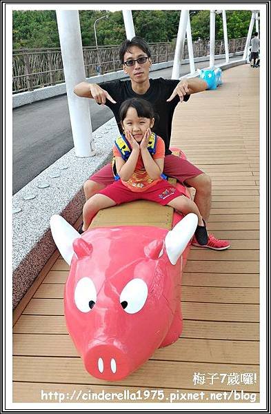 P_20161009_131242_1_p.jpg