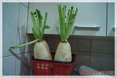 DSC00040編修.JPG