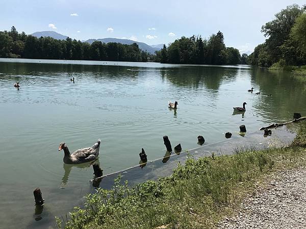 20190605_IMG_3839.JPG