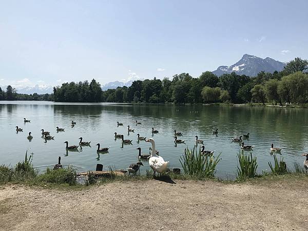 20190605_IMG_3852.JPG