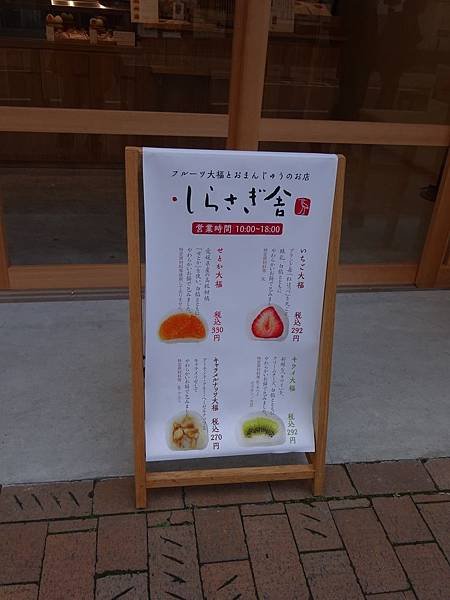DSC07206.JPG