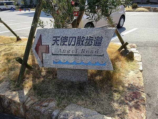 DSC08626.JPG