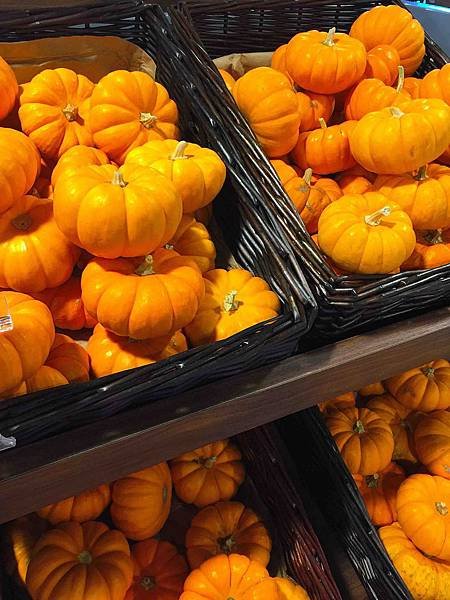 Autumn pumpkins (1)