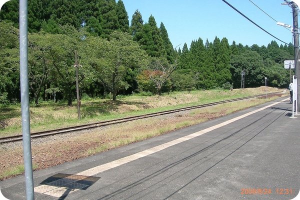 DSCN7042.jpg